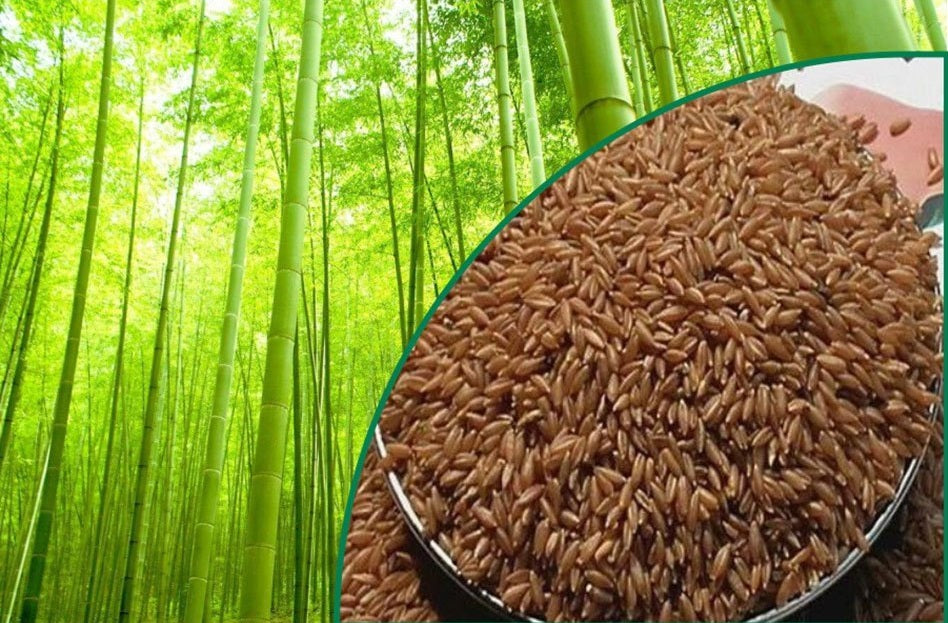 Bamboo Rice – Naturally Aromatic & Nutritious